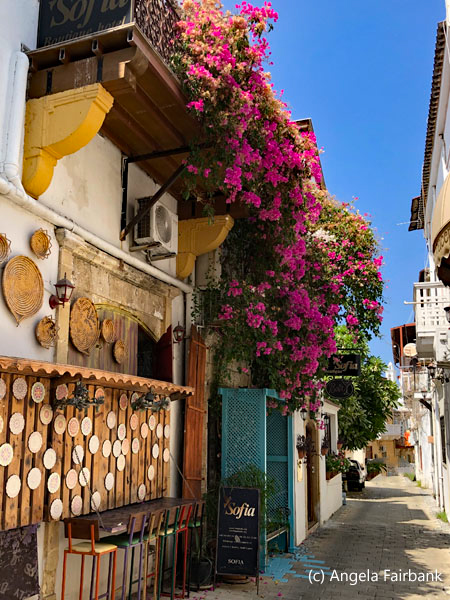 street and bougainvillea