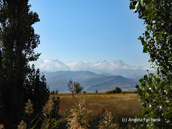 view of mountains from the road