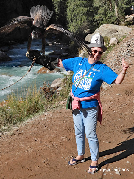 golden eagle on my arm 1 near waterfall