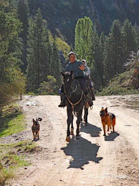 horse riders with 2 dogs