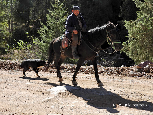 horse rider with dog