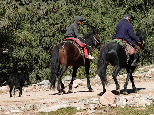 horse riders with 1 dog