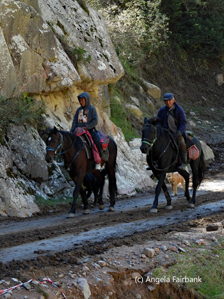 2 horse riders with 1 dog 2
