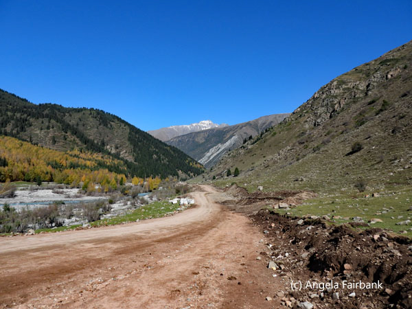 view of road in valley