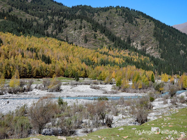 view of turning leaves and river 1