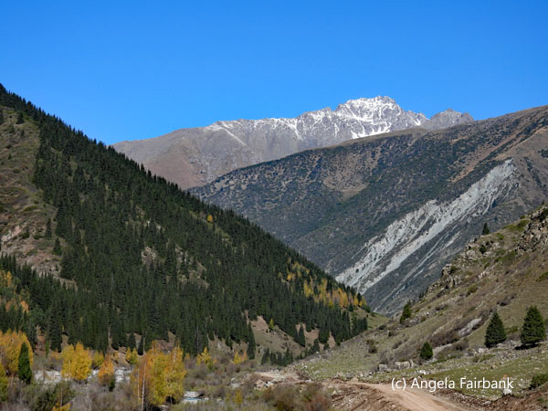 valley view with mountains