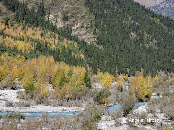 view of turning leaves and river 2