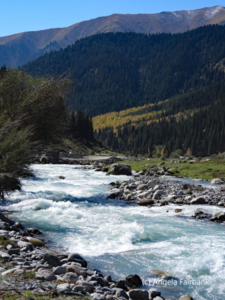 another view of the river