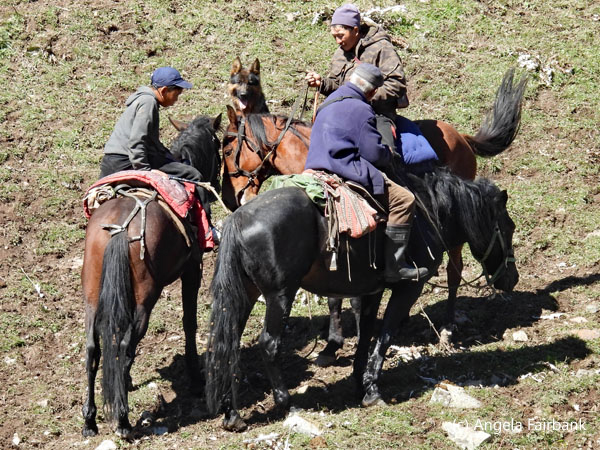 group of cattle herders on horseback