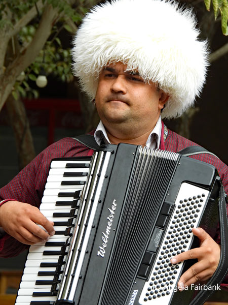 accordionist