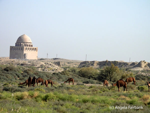 mausoleum and dromedaries