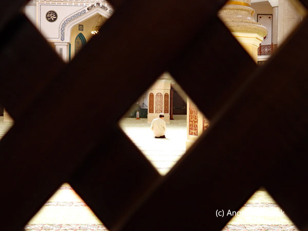 view of man praying from women area of mosque 5