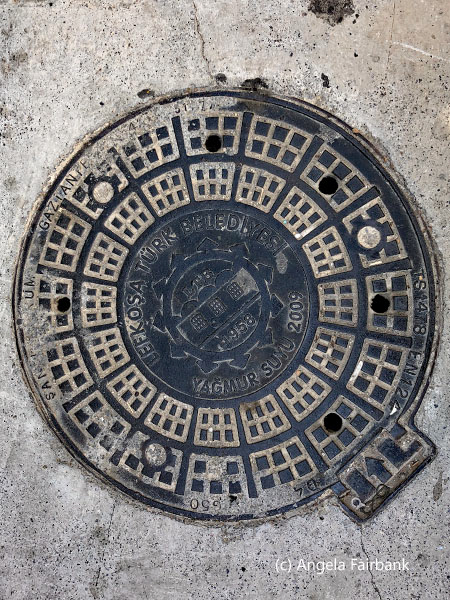 drain cover