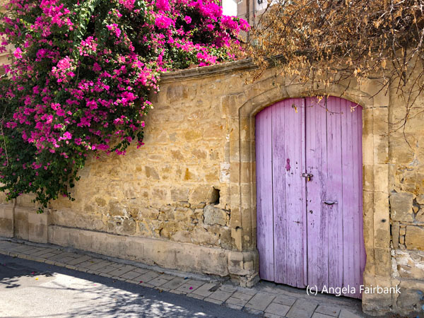 pink door and bougainvillea