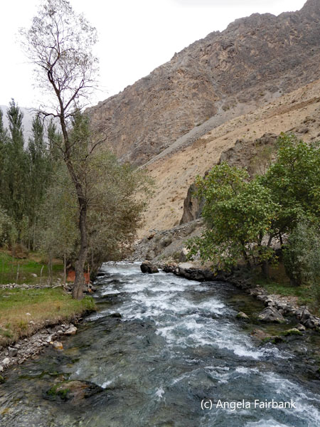 stream