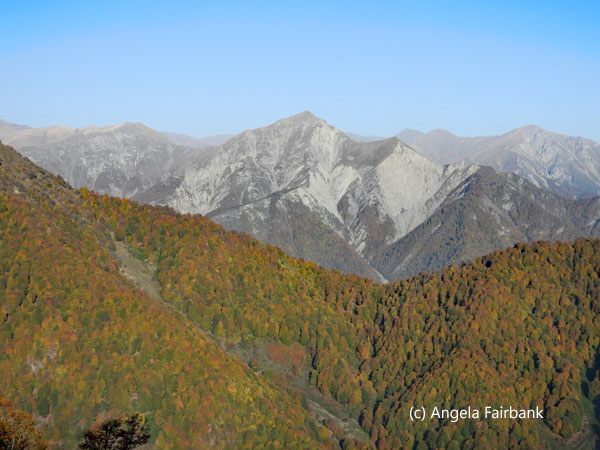 fall colours and mountains