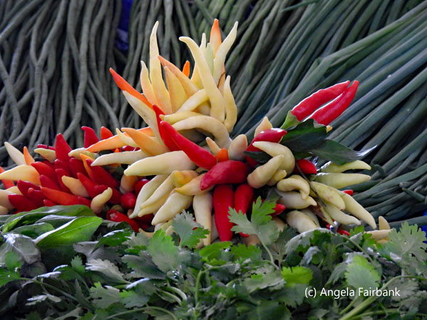 colourful vegetables