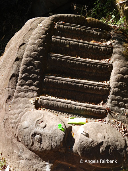 snake rock