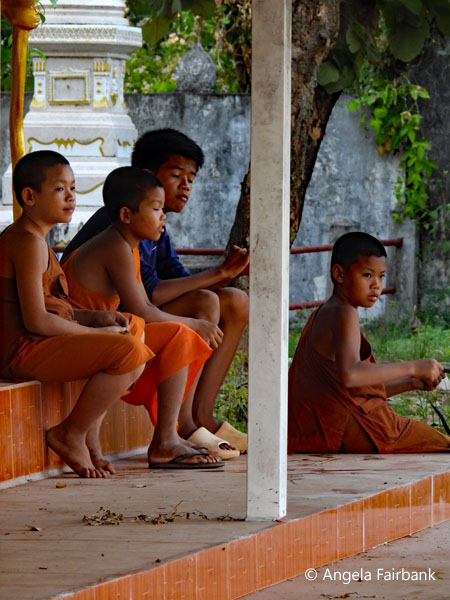 novices at wat 2