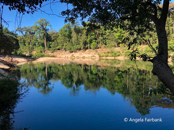 view of reflections in river
