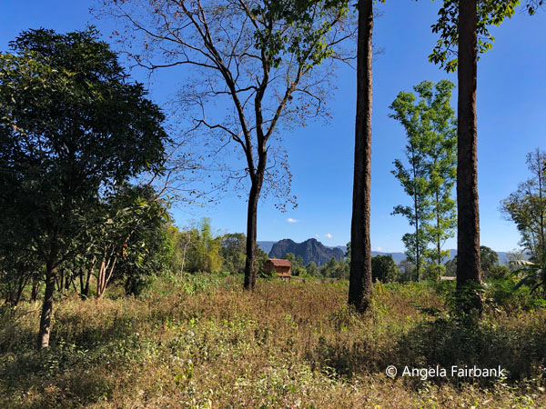 view in Phu Thai village