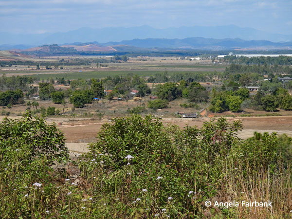 view on hike from site 2 to site 3 1
