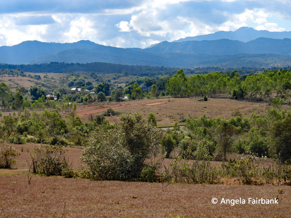 view on hike from site 2 to site 3 3