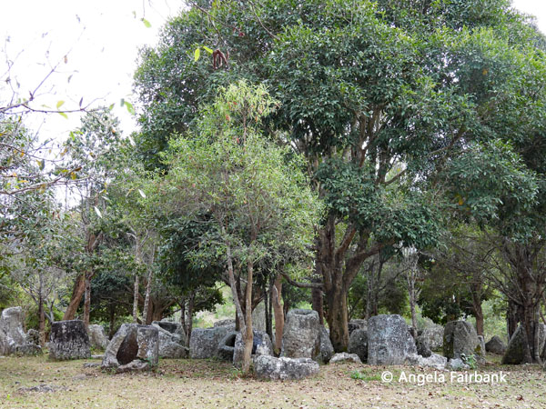 plain of jars site 3