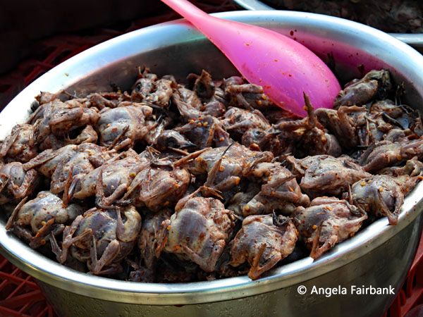 cooked swallows for sale