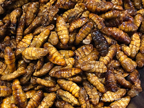 silk worms at the night market