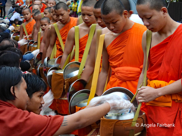 novices being fed rice by tourists 1
