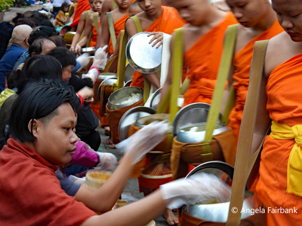 novices being fed rice by tourists 2