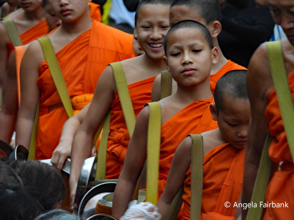 smiling novices 1