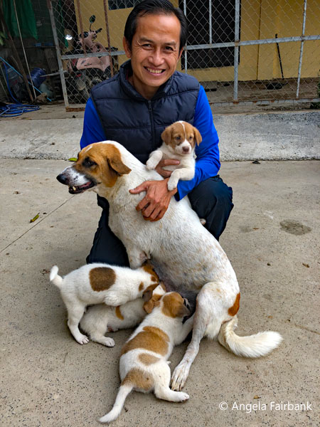our guide for Northern Laos, Pong, and dogs