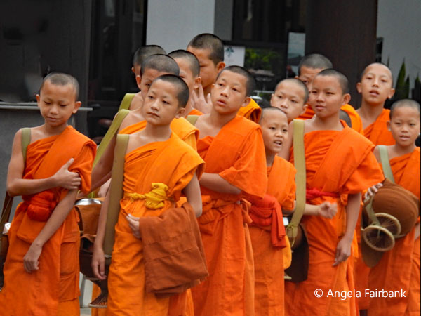 novices 1