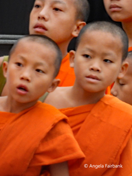 novices 2
