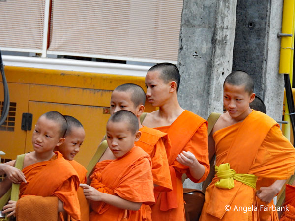 novices 3