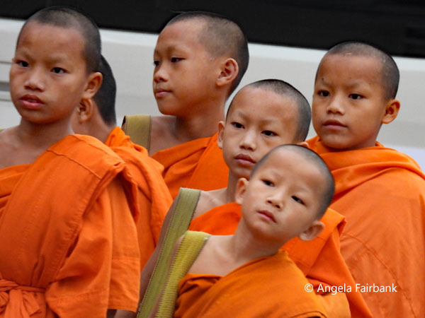 novices 5