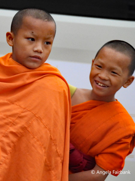 novices 6