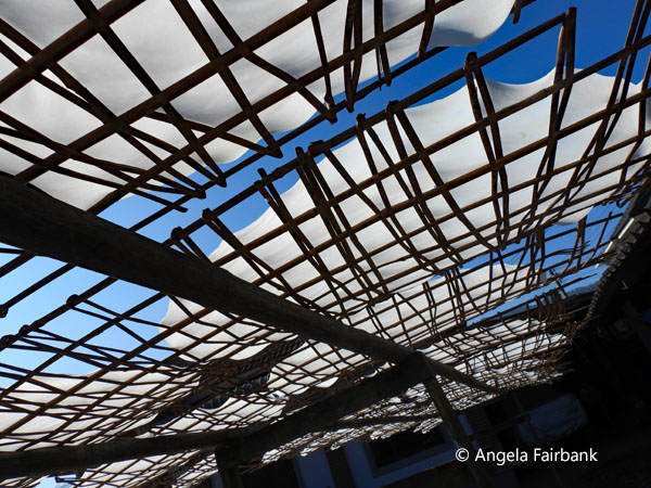 rice sheets drying in the sun