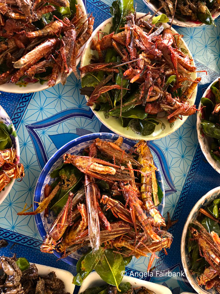fried crickets