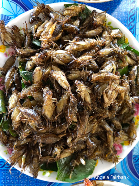 fried bugs 1
