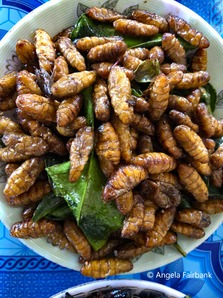 fried silk worms