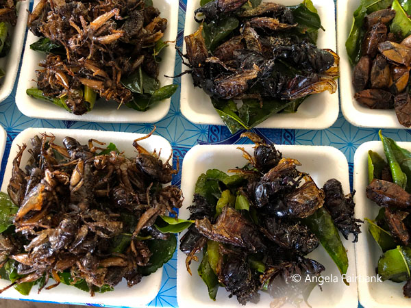 fried bugs 2