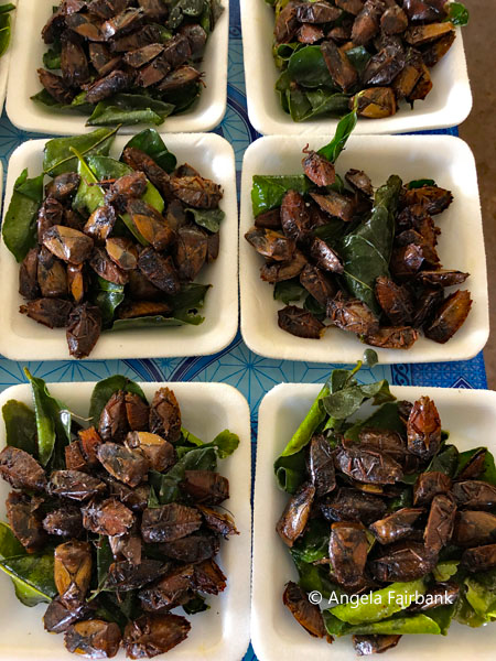 fried bugs 3