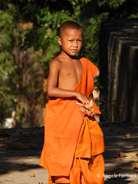 novice