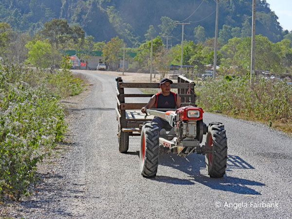 typical mode of transportation known as the Chinese water buffalo
