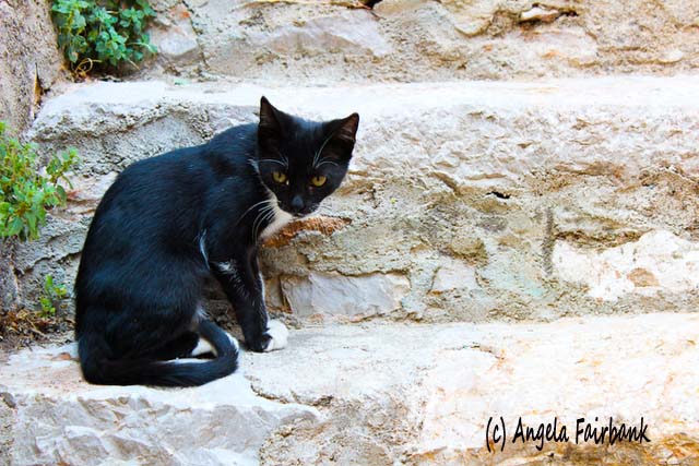 Khios, Greece, copyright Angela Fairbank