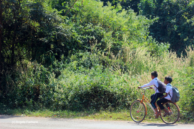 schoolboys bicycling to school between Angkor Wat and Banteay Srey