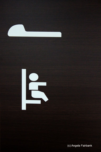 toilet door 1